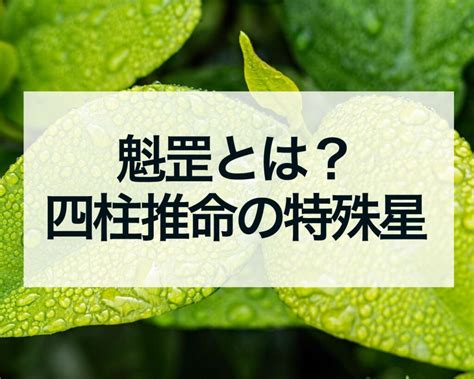 時柱魁罡|魁罡（かいごう）｜四柱推命の基礎知識｜四柱推命スタークロー 